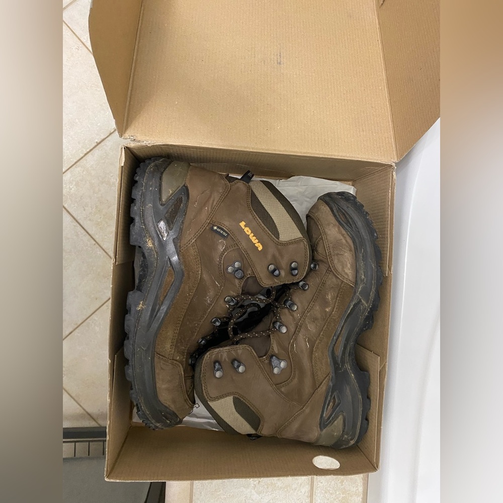Lowa renegade gtx boots